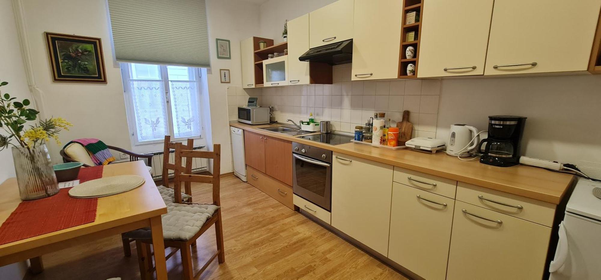 Apartma Domenika Птуй Экстерьер фото